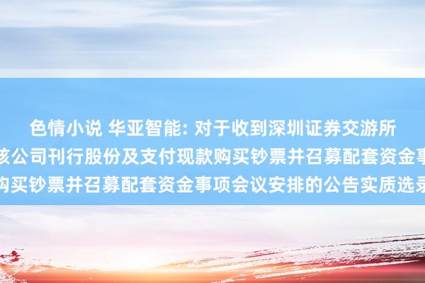 色情小说 华亚智能: 对于收到深圳证券交游所并购重组审核委员会审核公司刊行股份及支付现款购买钞票并召募配套资金事项会议安排的公告实质选录