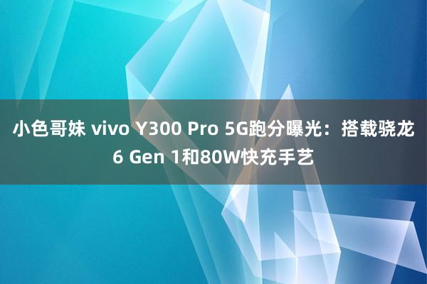 小色哥妹 vivo Y300 Pro 5G跑分曝光：搭载骁龙6 Gen 1和80W快充手艺